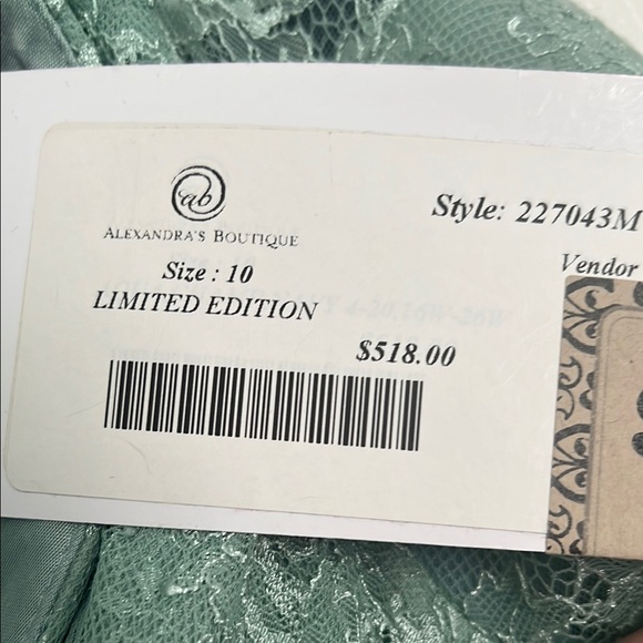 Elegant Green Lace Evening Gown, Mother of Bride or Mother of Groom NWT - Picture 6 of 6